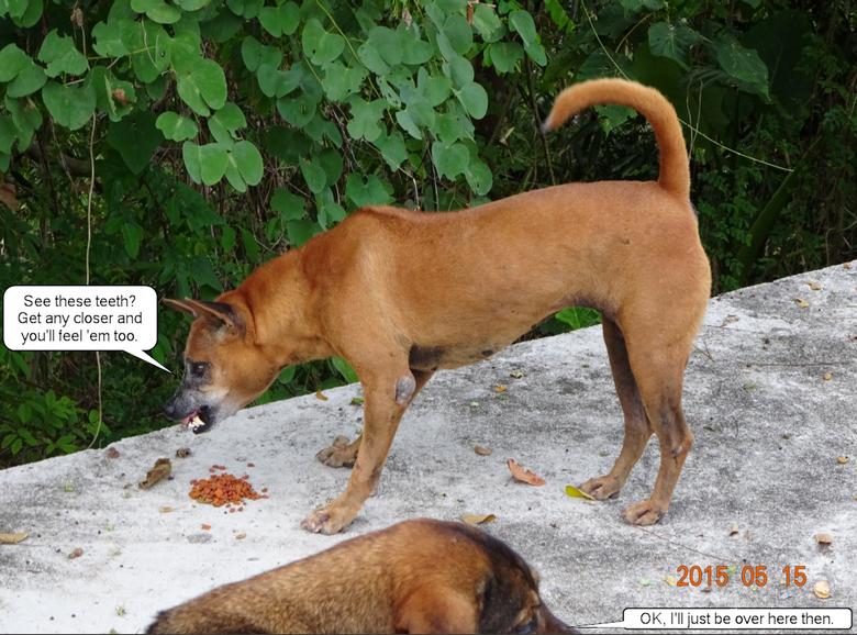 post-35489-0-24093400-1432057884_thumb.j