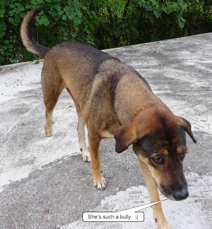 post-35489-0-73889100-1432058429_thumb.j