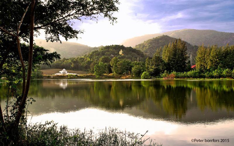 post-44344-0-05860300-1431344362_thumb.j