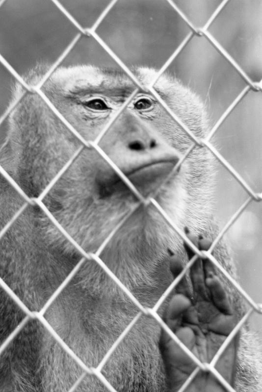 post-54430-0-80055000-1432682119_thumb.j