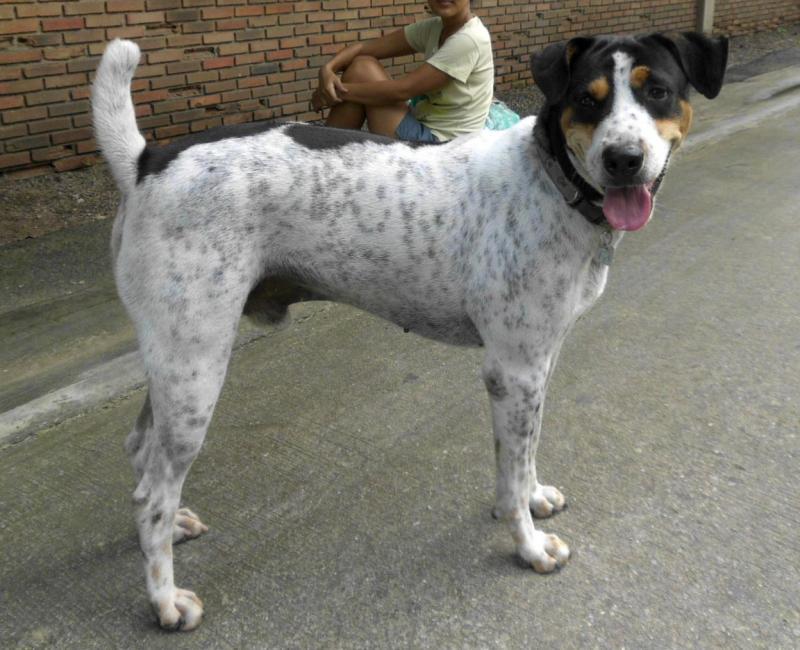 post-5469-0-21191500-1432350372_thumb.jp