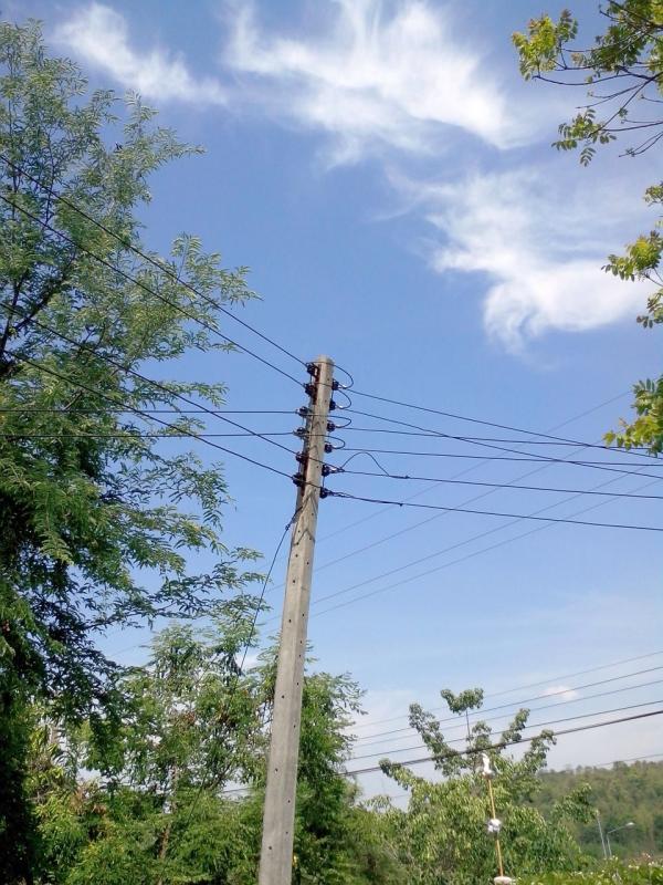 post-5614-0-92161000-1430897770_thumb.jp