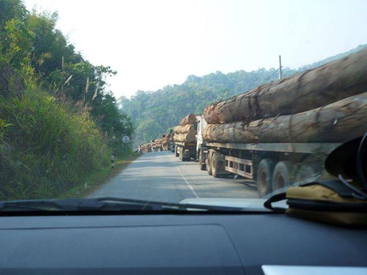 post-65504-0-75119500-1432630004_thumb.j