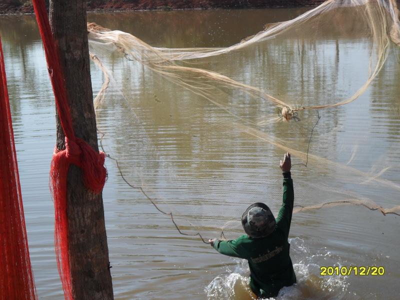 post-67253-0-64795900-1431399268_thumb.j