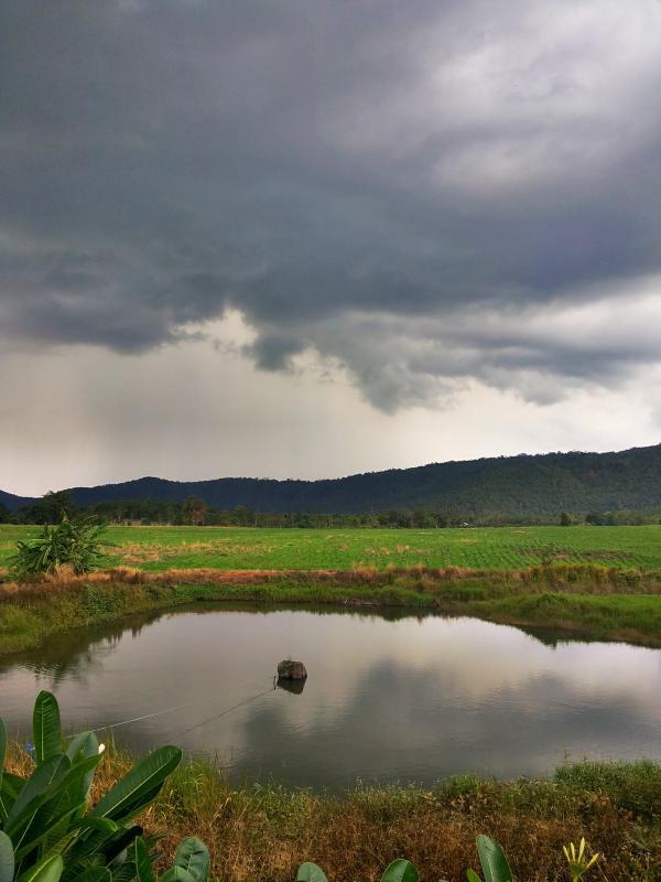 post-68260-0-77474800-1431588657_thumb.j