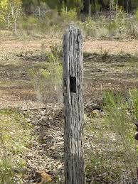 post-9891-0-89409800-1432126209_thumb.jp