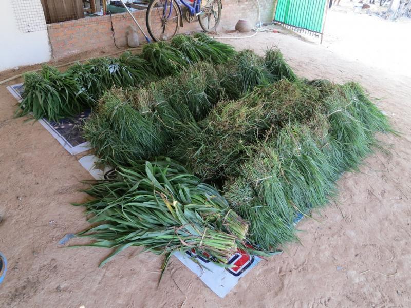 post-1136-0-99463000-1462608835_thumb.jp