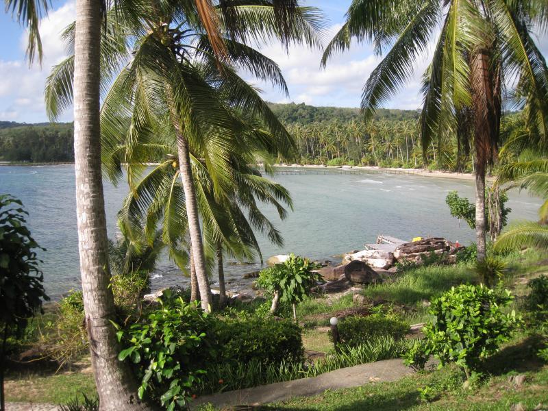 post-11958-0-60883400-1463922557_thumb.j