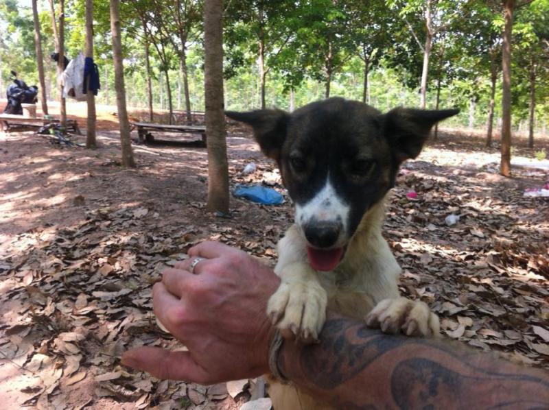 post-126208-0-44781100-1463057368_thumb.