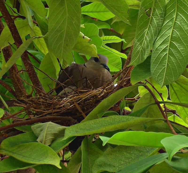 post-147745-0-88909100-1462064444_thumb.