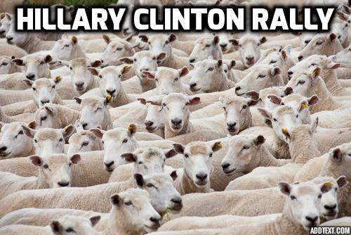 post-164212-0-81770100-1463554617_thumb.