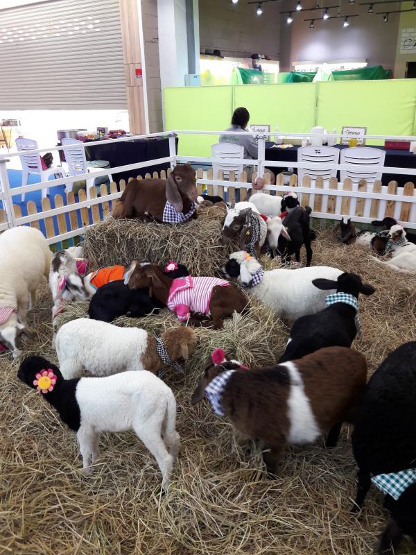 post-167660-0-36528300-1462880029_thumb.