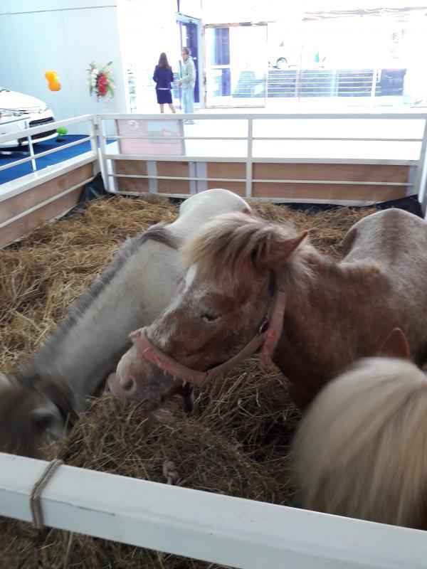 post-167660-0-41923900-1462879929_thumb.