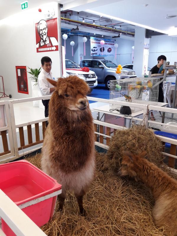 post-167660-0-43150500-1462879994_thumb.