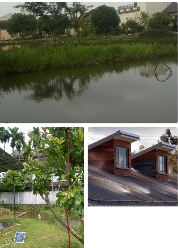 post-177483-0-85609000-1463117532_thumb.