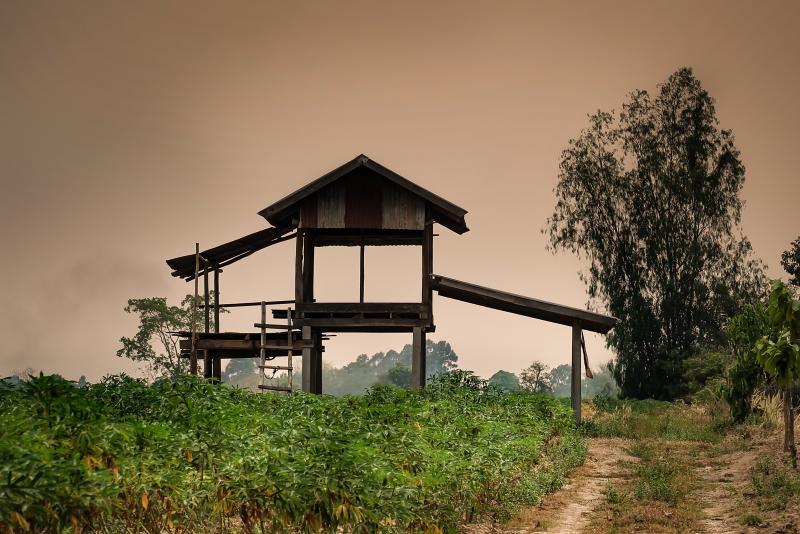 post-185776-0-61368600-1463918427_thumb.