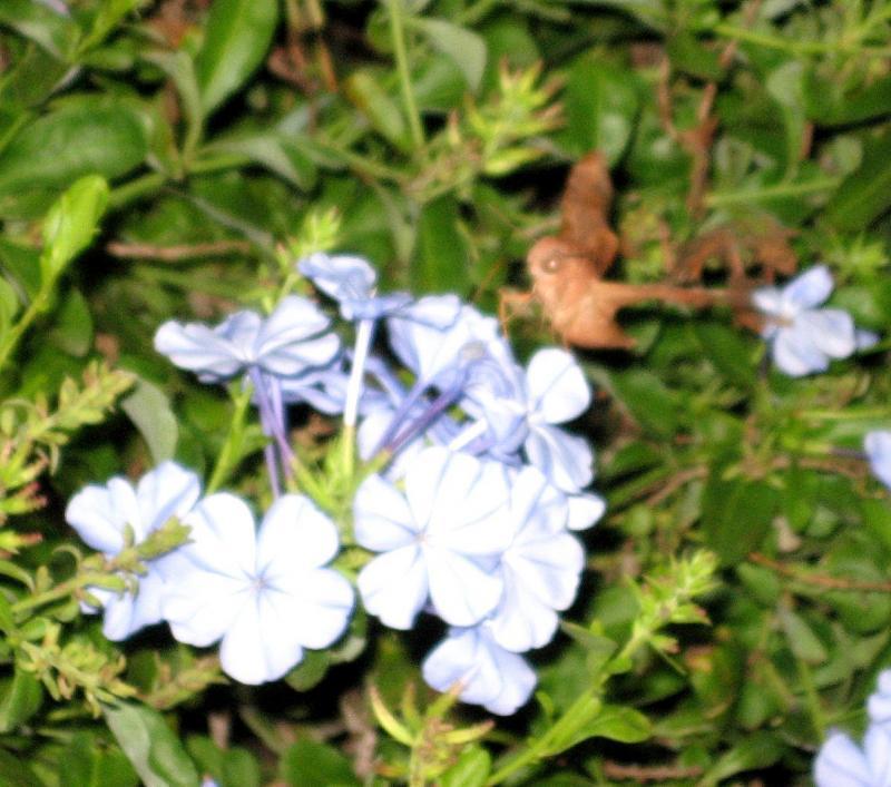 post-216783-0-55919600-1462728743_thumb.