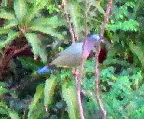 post-216783-0-61218600-1462366165_thumb.