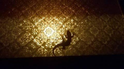 post-226498-0-40789700-1462418015_thumb.