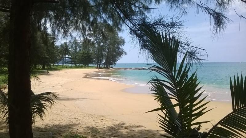 post-226498-0-45126800-1462410001_thumb.