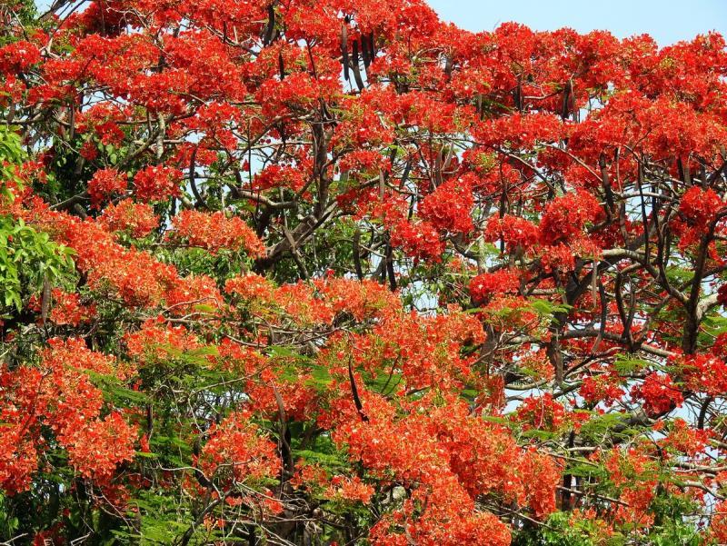 post-231138-0-05844600-1463261173_thumb.