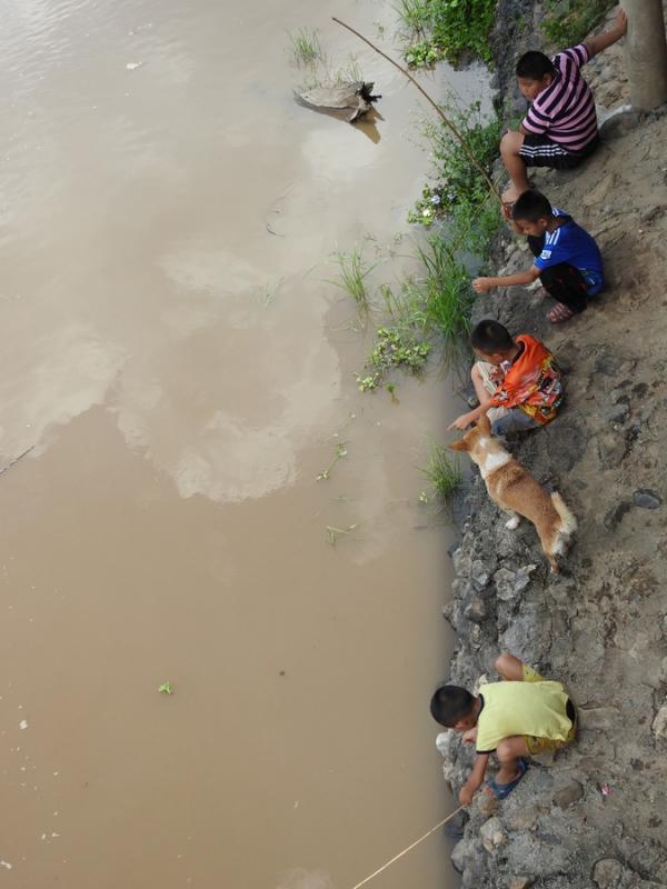 post-231138-0-81411300-1464436960_thumb.