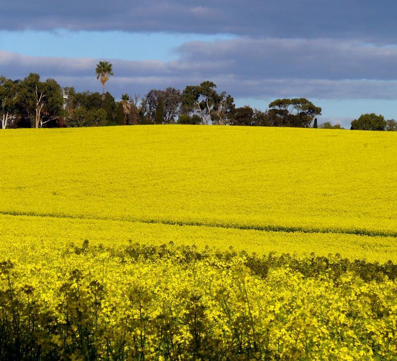 post-231841-0-02936400-1462629638_thumb.