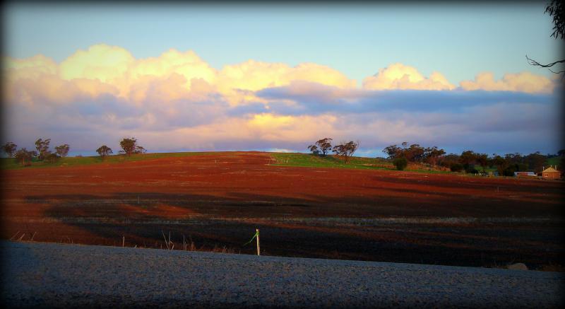 post-231841-0-03581400-1462629414_thumb.