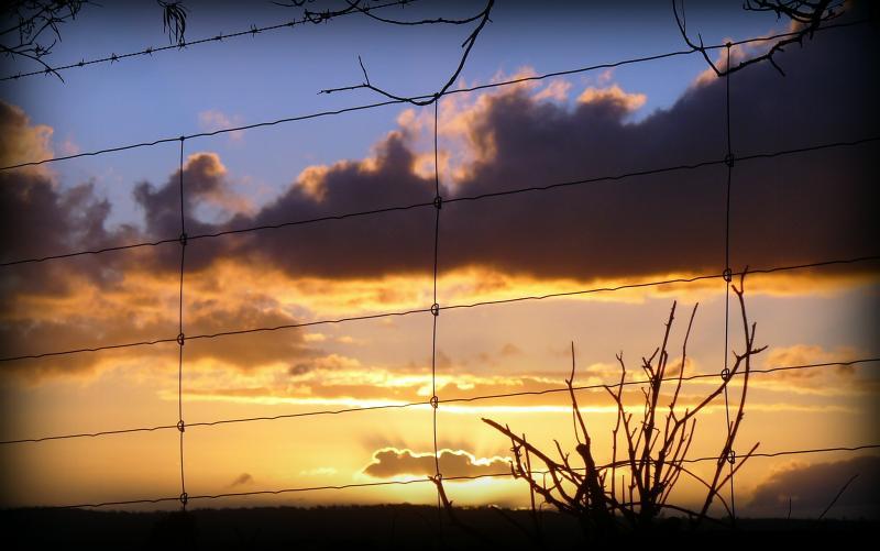 post-231841-0-95333300-1462621384_thumb.