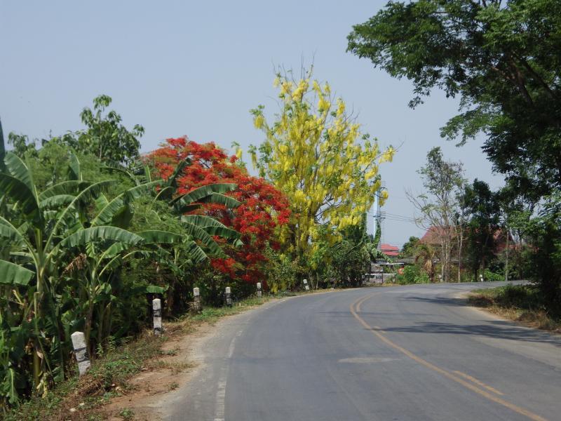 post-232120-0-85414200-1463907450_thumb.