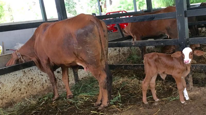 post-236567-0-29131200-1464232555_thumb.