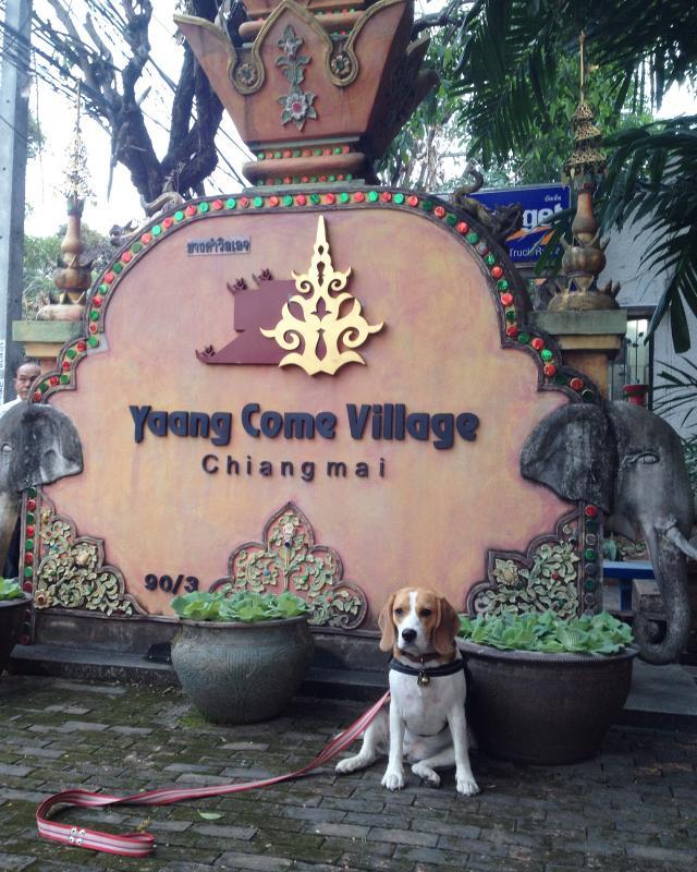 post-237692-0-59909300-1463537665_thumb.