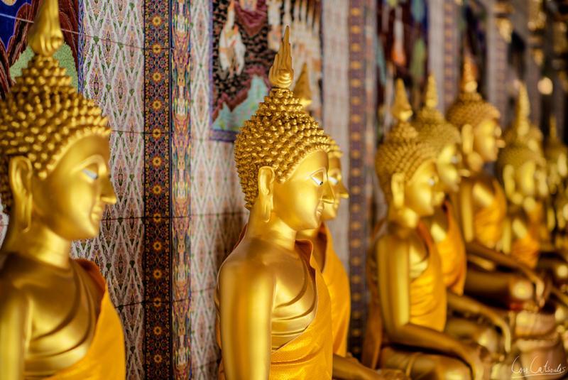 post-242715-0-17289100-1464572357_thumb.