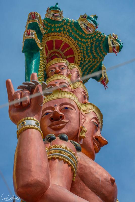 post-242715-0-48269300-1464486244_thumb.