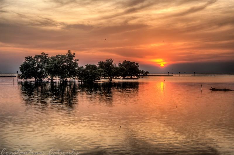 post-242715-0-48321600-1464313790_thumb.