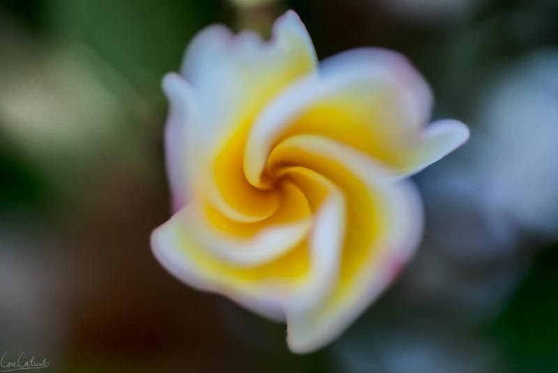 post-242715-0-86228200-1464659649_thumb.