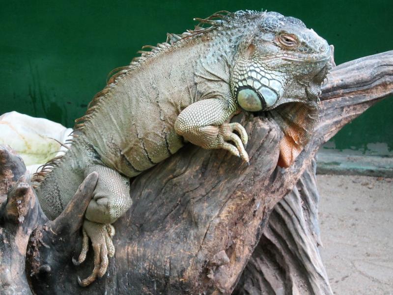 post-249417-0-17785100-1462670607_thumb.