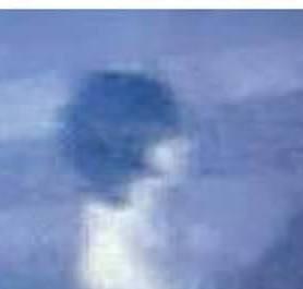 post-249774-0-27168900-1464080018_thumb.