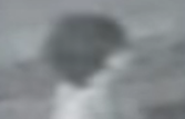 post-249774-0-87084300-1464079821_thumb.