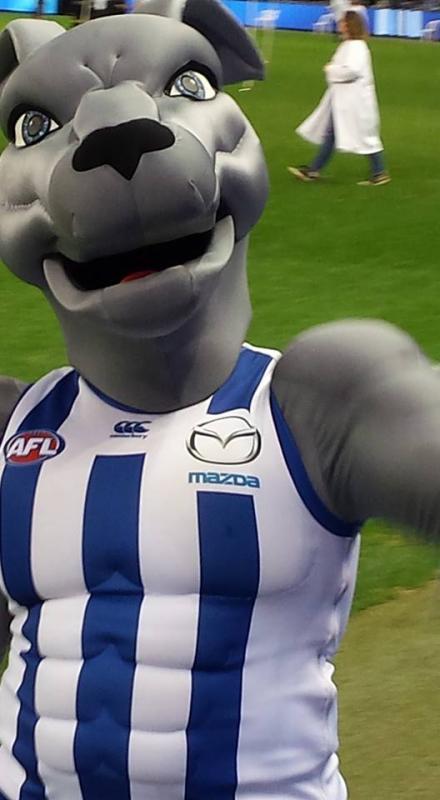 post-250579-0-12995200-1463881332_thumb.