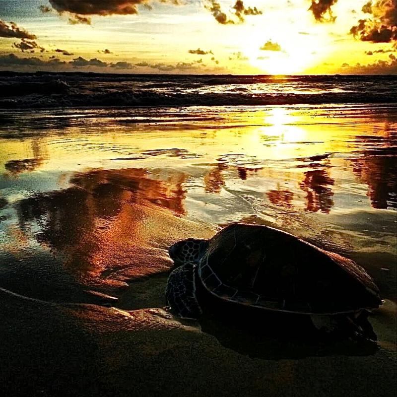 post-254105-0-47025300-1463649483_thumb.