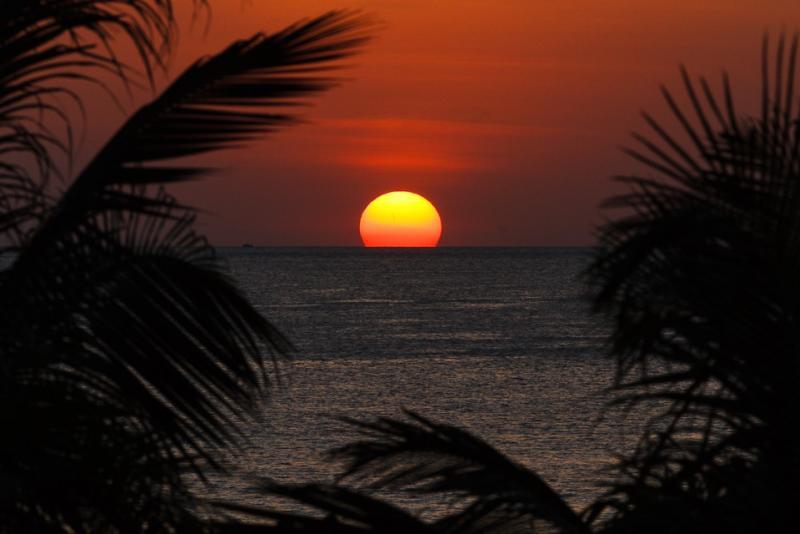 post-258303-0-39770300-1463158577_thumb.