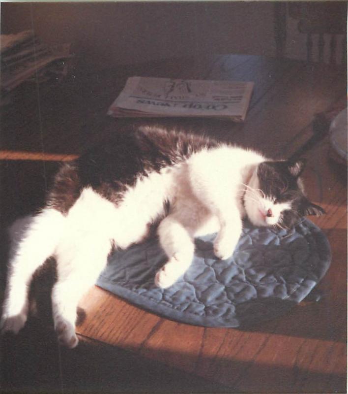 post-3474-0-65103600-1463822342_thumb.jp