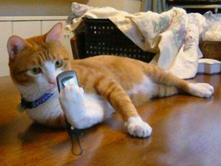 post-35489-0-57995200-1463218613_thumb.j