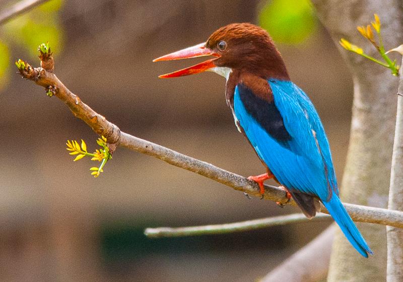 post-59731-0-08711800-1464067322_thumb.j