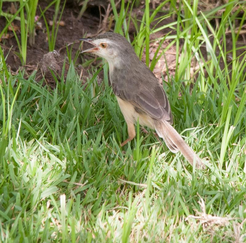 post-59731-0-85419800-1463645610_thumb.j