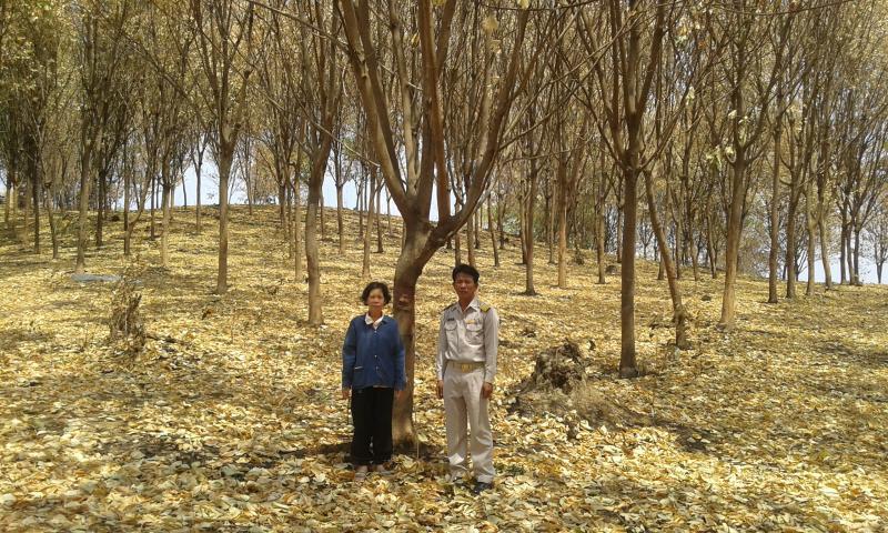 post-63954-0-63502100-1462978250_thumb.j