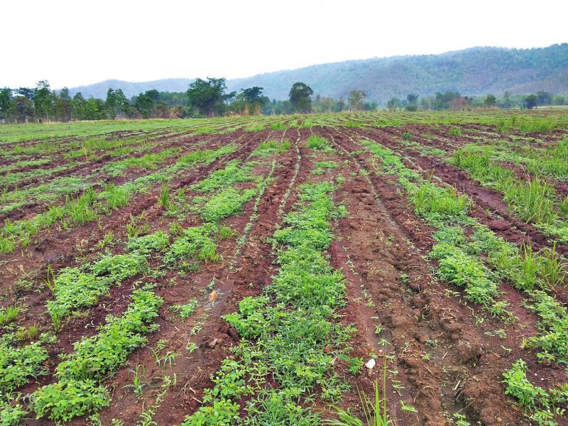 post-68260-0-09900700-1463618605_thumb.j