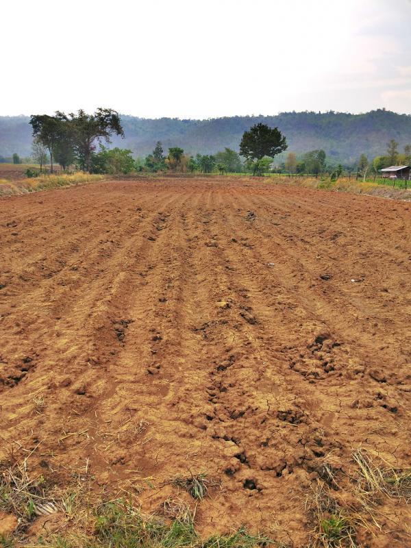 post-68260-0-60043900-1462976002_thumb.j