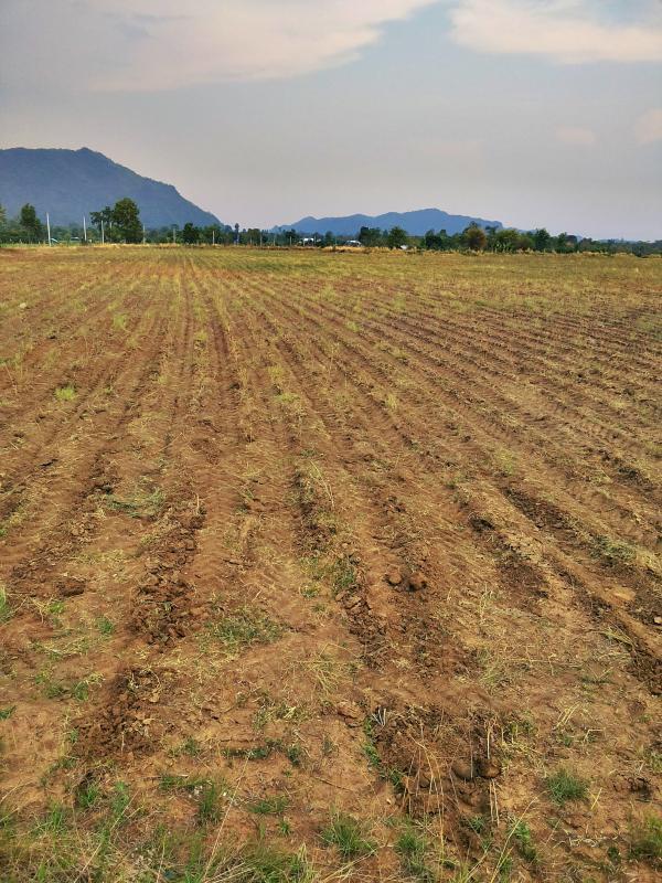 post-68260-0-62570100-1462975984_thumb.j